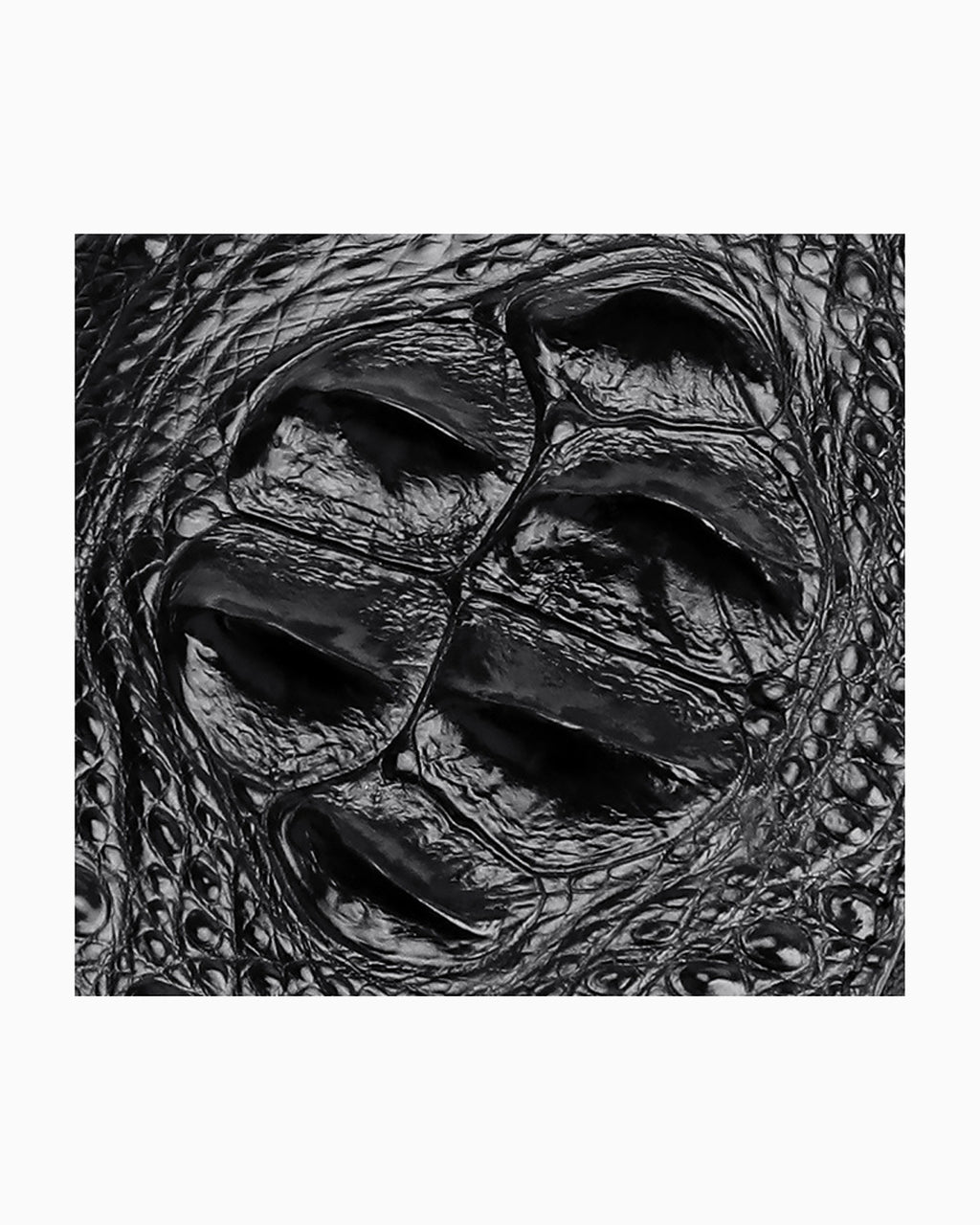 Details of the genuine crocodile leather