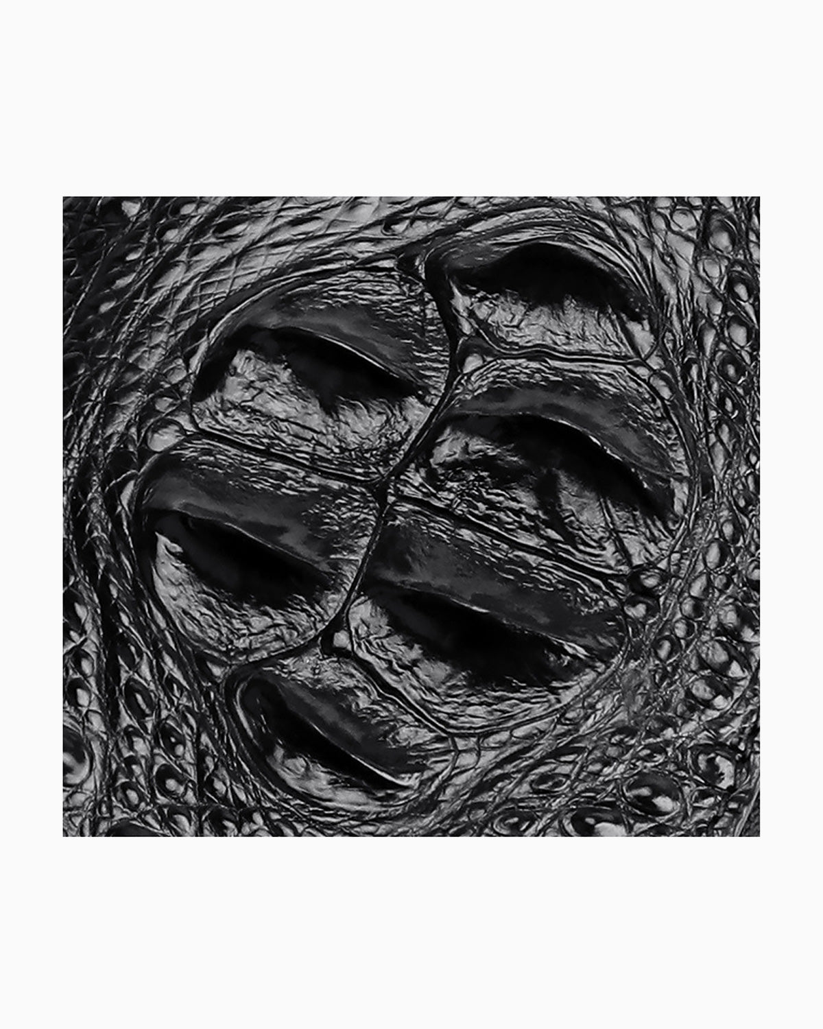 Details of the genuine crocodile leather