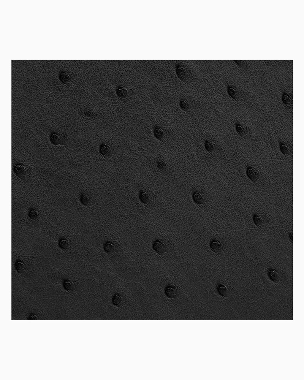 A close-up of a black genuine ostrich leather | BUCKLE Collective