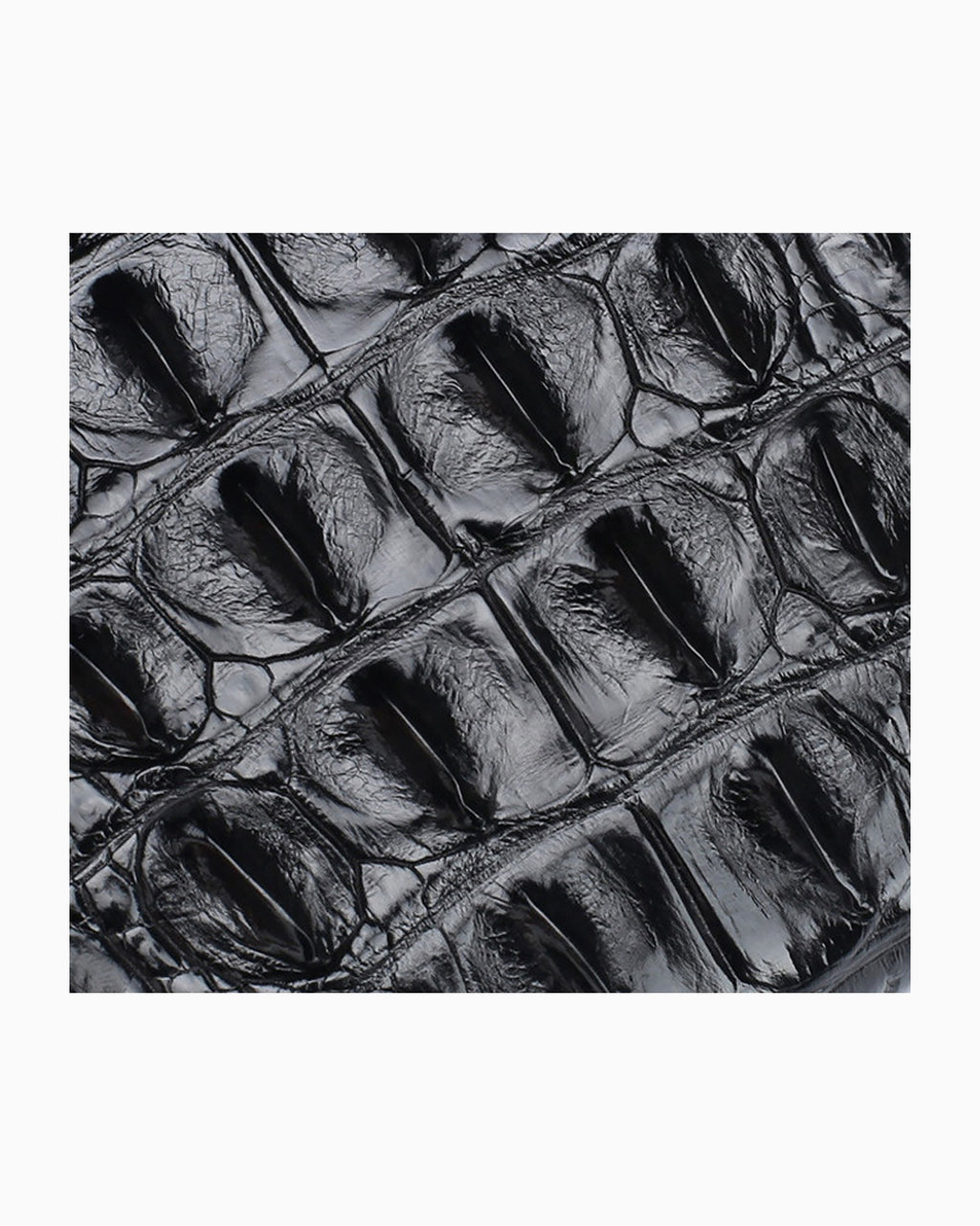 A close-up of a black textured crocodile leather