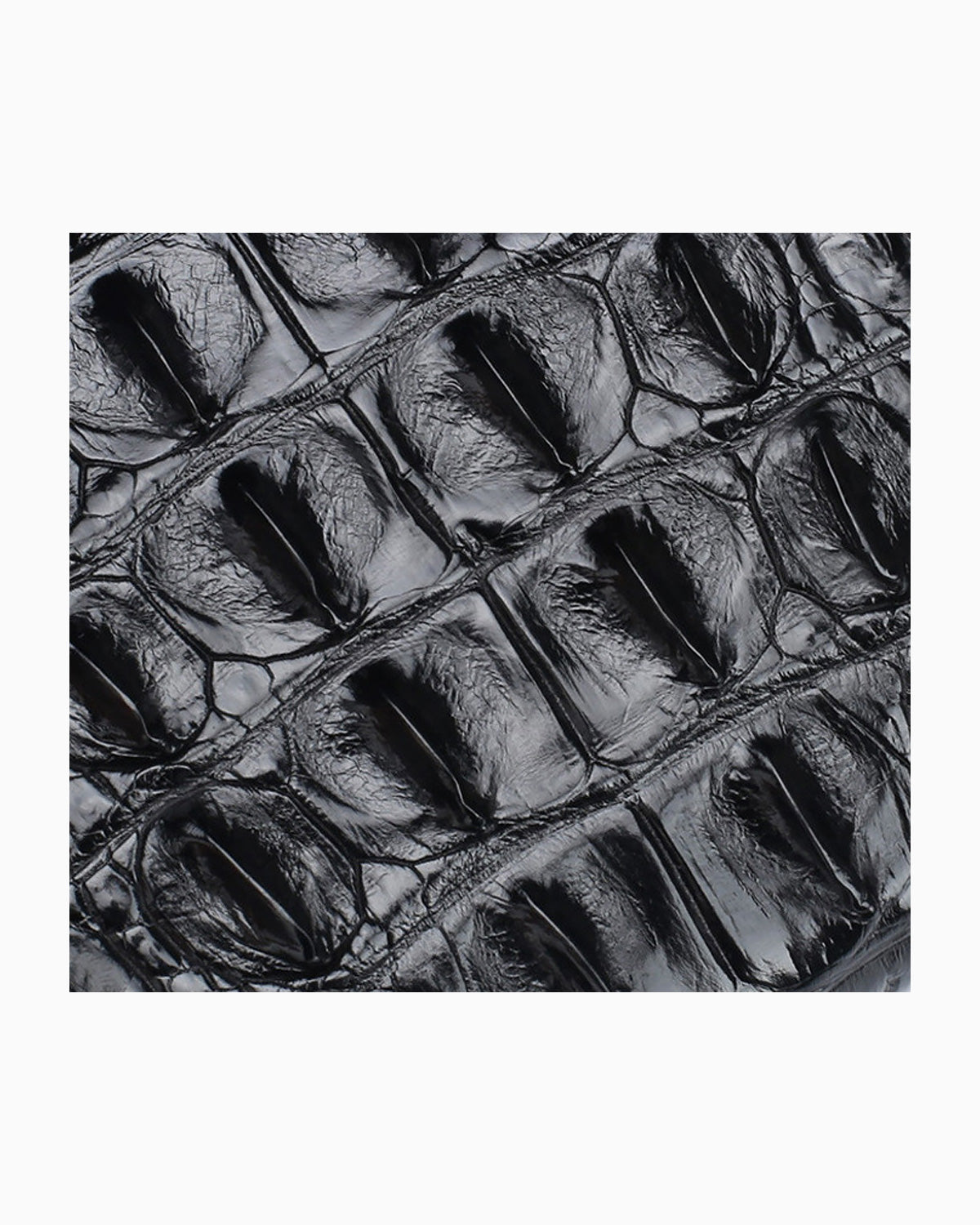 A close-up of a black textured crocodile leather